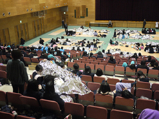 �A���[�i���i�@�֎q�Ȃƃt���A�ŉ���